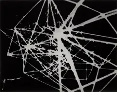 Paul Sietsema, Untitled (from 16mm film still), 2000, chromogenic print