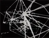 Paul Sietsema, Untitled (from 16mm film still), 2000, chromogenic print
