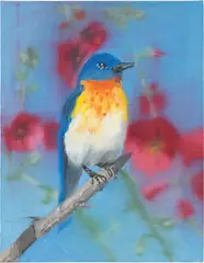 Ann Craven, Study for Hit Songbird, 2002, oil on linen