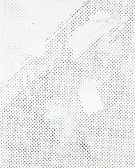 Michael Krebber, Untitled, 2013, lacquer on canvas