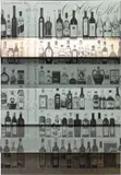 Zak Kitnick, Volluto, 2014, direct-to-substrate print on powder coated steel shelving