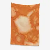 Sam Falls, Untitled (Orange, Joshua Tree, CA)