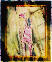 Sara Greenberger Rafferty, Frame, 2011, direct to substrate print on acrylic