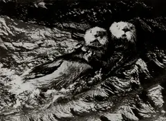 Untitled (Otters) by Friedrich Kunath, 2005, gelatin silver print, offered Sep 2023