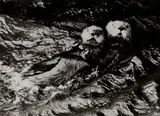 Friedrich Kunath, Untitled (Otters)