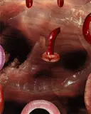 Sterling Ruby, Death Cult Los Angeles - Cry Me a River, 2007, Lambda print, flush-mounted to Plexiglas