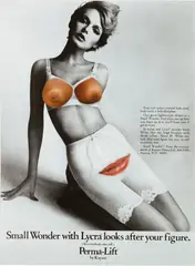Martha Rosler, Small Wonder from the series Body Beautiful, or Beauty Knows No Pain, 1966–1972, photomontage printed as chromogenic print, flush-mounted to acrylic