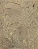 Fredrik Værslev, Untitled, 2010, spray paint, house paint, corrosion protective spray, paint remover, white spirit and tar on canvas