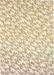 Neil Raitt, Desert Fade, 2015, oil on canvas