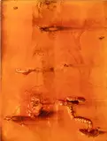 Mathieu Malouf, Not Yet Titled, 2013, chroming process over mixed media and dried stabilized mushrooms on linen