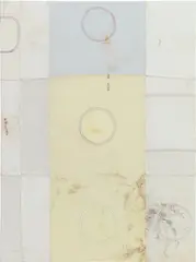 Ross Iannatti, Hysteresis No. 301, 2015, silicone coated nylon fabric and sodium azide residue on canvas