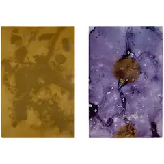Ryan Foerster, Two works: (i) The Sky is Falling 3 ; (ii) Purple Universe, 2012, (i) printing plate (ii) found aluminum and Kwik Print emulsion