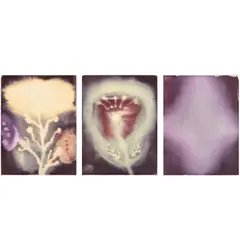 Ross Bleckner, Three works: (i-iii) Untitled, 1988, watercolor and gouache on paper