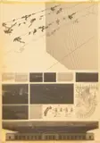Ben Schumacher, Untitled, 2014, flexographic photopolymer printing plate