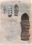 Terry Winters, Schema (22)