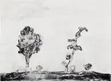 David Scher, Untitled, 1994, India ink on paper