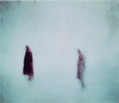 Field 1.3 by Michal Rovner, 2001, chromogenic print, face-mounted to acrylic, sold Dec 2023