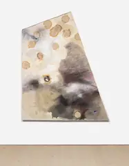 Lucy Dodd, Varkala (Beyond Hippy), 2013, kombucha SCOBY, yerba mate, tempera, wild walnut rind, sauerkraut juice, cabbage juice, nettle, quarry hill river clay, immune support tea, Tulsi Tummy tea and mixed pigments on canvas