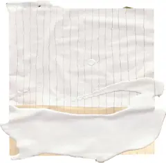 Plaster Paper (1) by Gabriel Orozco, 2008, graphite and plaster on paper, sold Mar 2022