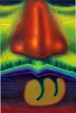 Ed Paschke, Dumattica