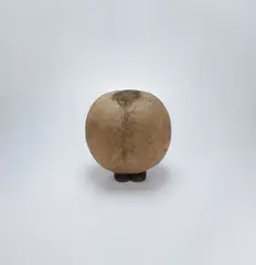 Thierry De Cordier, Je Suis le Monde!, 1988–1996, mud, hair, potato skin and shoes