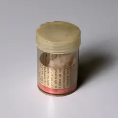 Joseph Cornell, Untitled, 1970, conch shell, book page clipping and pink salt stones in plastic Whitman Dollar container