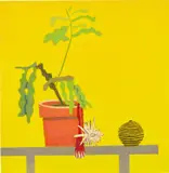 Jonas Wood, Night Bloom 2, 2012, gouache and colored pencil on paper