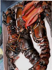 North Fork Lobsters by Gina Beavers, 2014, acrylic and modeling paste on canvas, offered May 2022