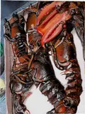 Gina Beavers, North Fork Lobsters