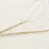 Rebecca H. Quaytman, Drawing
