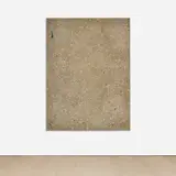 Fredrik Værslev, Untitled, 2011, spray paint, house paint, enamel paint, corrosion protective spray and white spirit on canvas
