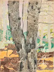 Lynne Mapp Drexler, Untitled, 1985, colored pencil on paper