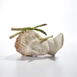 Tony Matelli, Asparagus Head, 2017, concrete and painted bronze