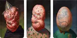 Christian Rex van Minnen, Three works: (i) Party Time ; (ii) Prick ; (iii) Egg, 2017, watercolor on paper