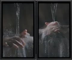 Ablutions by Bill Viola, 2005, color high-definition video on LCD flat panel mounted vertically on wall, diptych runtime: 7:01 minutes performers: Lisa, sold Sep 2022