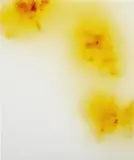 Wolfgang Tillmans, Blushes #105