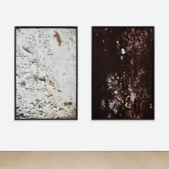 Mike Kelley, Black Garbage (Grassy Island [Canadian]); White Garbage (Bob Lo Island), 2001, Cibachrome print flush-mounted to board, diptych