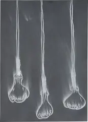 Gary Simmons, Untitled, 1994, chalk and slate paint on paper