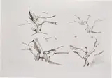 Cecily Brown, Untitled