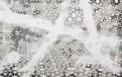 Toby Ziegler, capability, 2019, paper on Dibond