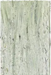 Dan Colen, Untitled, 2008, oil on canvas