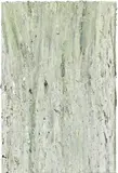 Dan Colen, Untitled