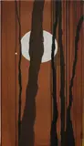 Mary Weatherford, Wicca, 2003, acrylic and Flashe on canvas
