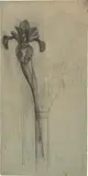 Piet Mondrian, Iris Bloom in Bud Vase