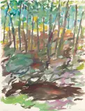 Elaine de Kooning, Catskill Series