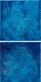Helen Marden, Mali, 2010, acrylic and raw pigment on canvas, diptych