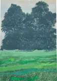 Tomás Sánchez, Liberación del verde, 1979, tempera on paper