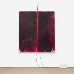 Mary Weatherford, Ruby, Ruby, 2019, Flashe and neon on linen