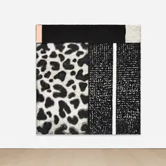 Vaughn Spann, Dalmatian No. 9 (Rocky), 2019, polymer, Flashe, molding paste, sand and cardboard on canvas