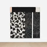 Vaughn Spann, Dalmatian No. 9 (Rocky)